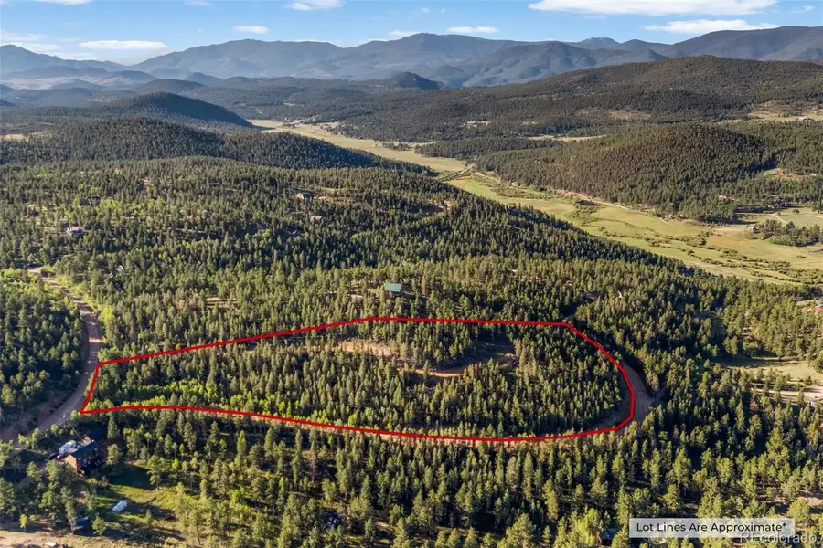 157 Saddle Horn Lane, Bailey, CO 80421 - #3