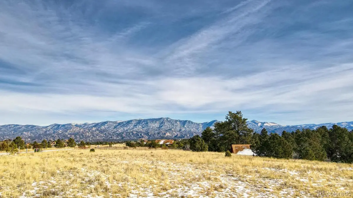 13584 County Road 261-b, Nathrop, CO 81236 - #1