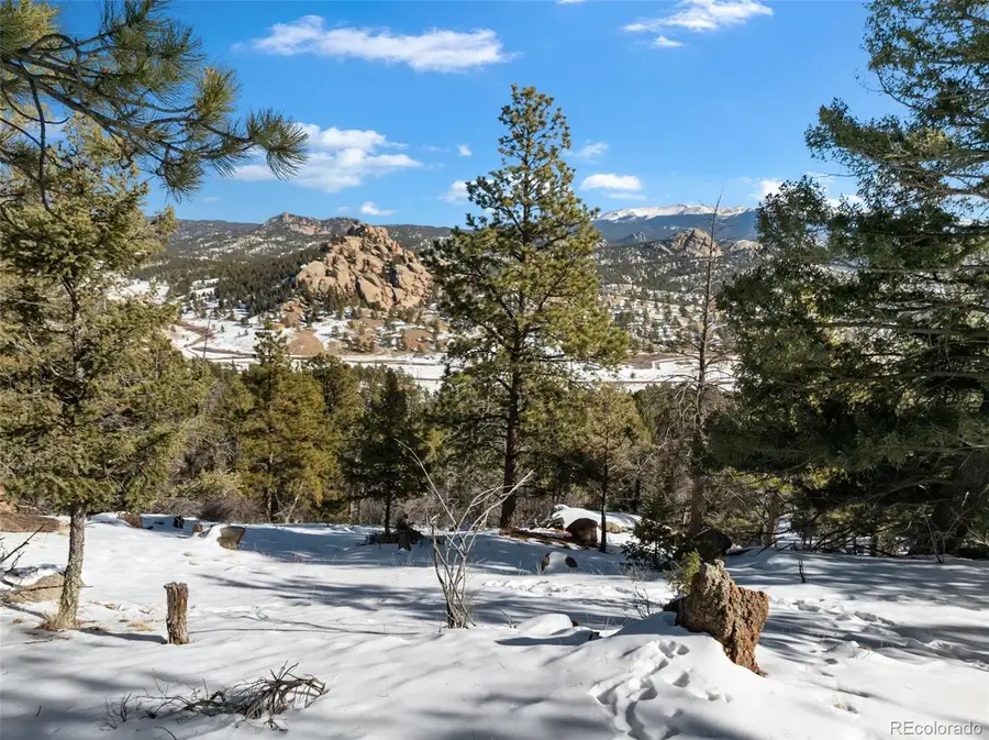 Conifer Circle, Florissant, CO 80816 - #2