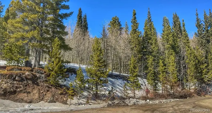 39 Glory Hole Road, Idaho Springs, CO 80452 - #2