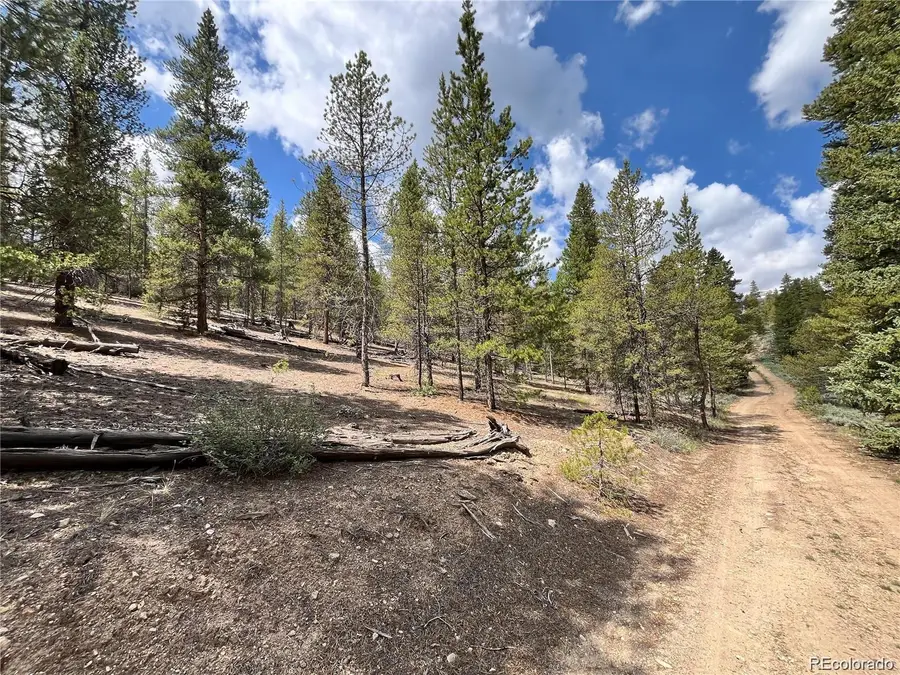 66 Ponderosa Drive, Leadville, CO 80461 - Image #2