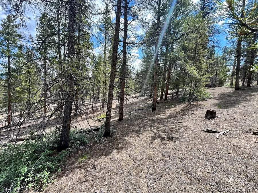 66 Ponderosa Drive, Leadville, CO 80461 - Image #3