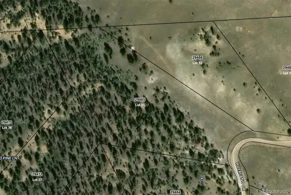 509 Huerfano Drive, Hartsel, CO 80449