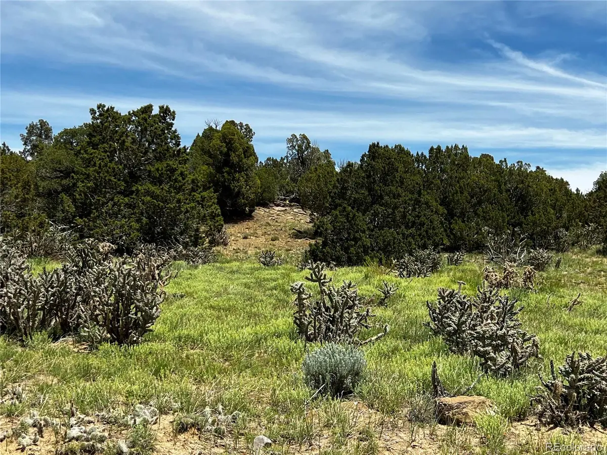 Lot 589 La Deora Boulevard, Walsenburg, CO 81089 - Image #1