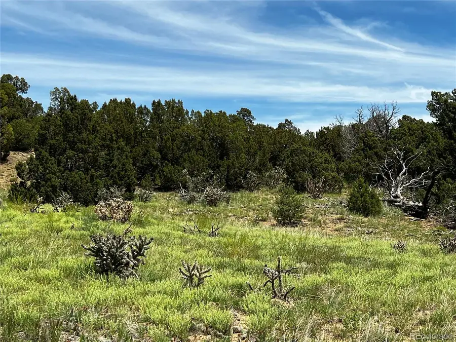 Lot 589 La Deora Boulevard, Walsenburg, CO 81089 - Image #3