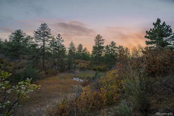 11011 Sunset Oaks Place, Franktown, CO 80116