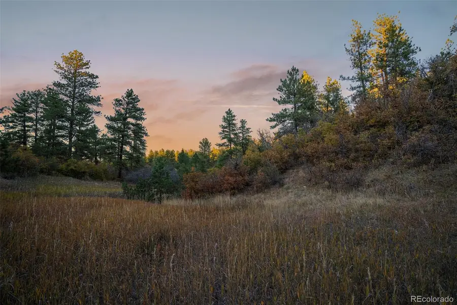 11011 Sunset Oaks Place, Franktown, CO 80116 - #2