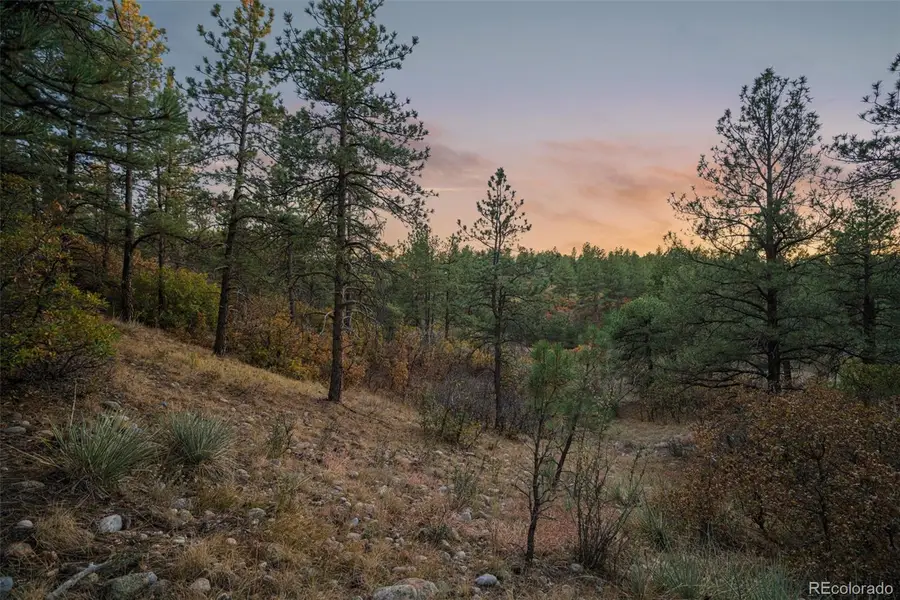 11011 Sunset Oaks Place, Franktown, CO 80116 - #3