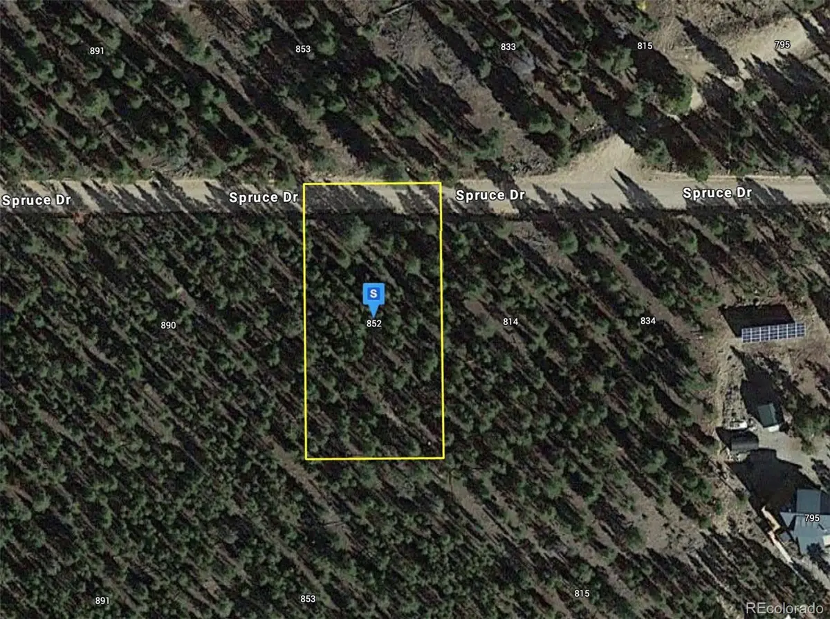 852 Spruce Drive, Twin Lakes, CO 81251 - #1