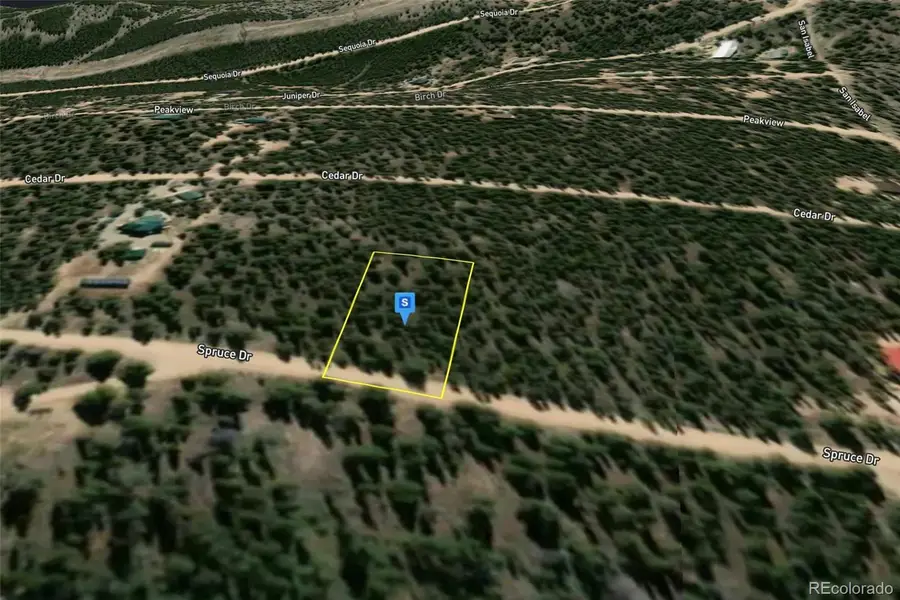 852 Spruce Drive, Twin Lakes, CO 81251 - #3