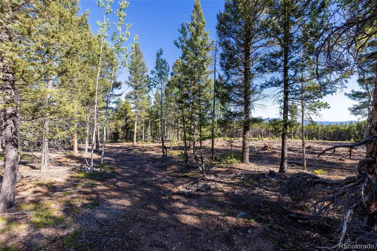 30894 Forest Shadow Trail, Conifer, CO 80433 - Image #1