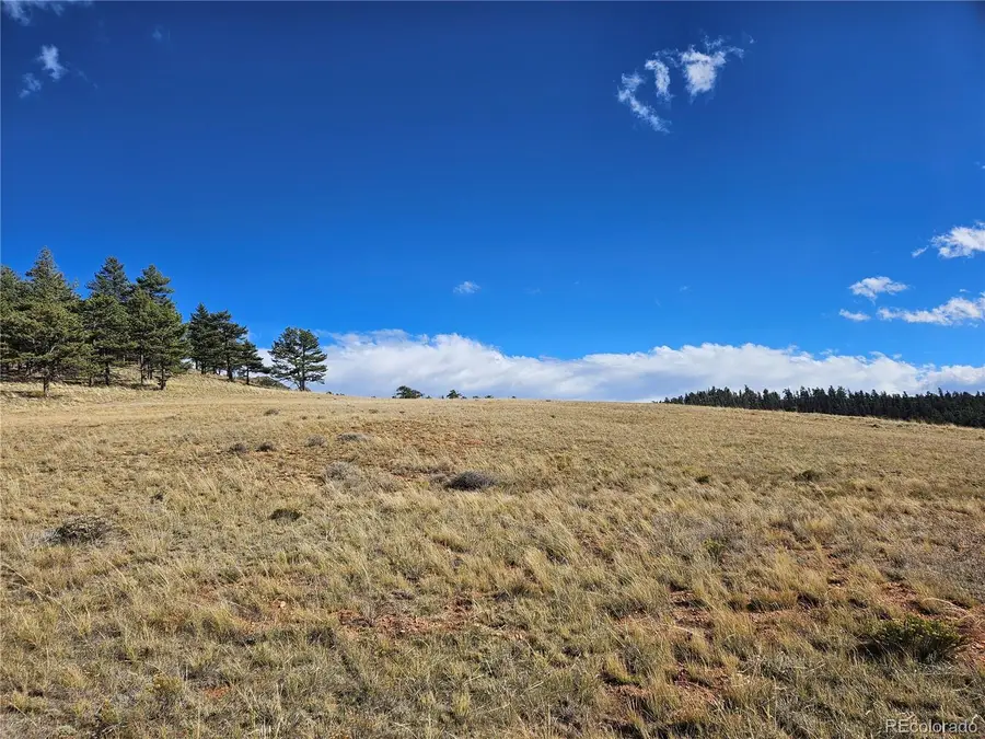 Fernando Trail, Hartsel, CO 80449 - #3