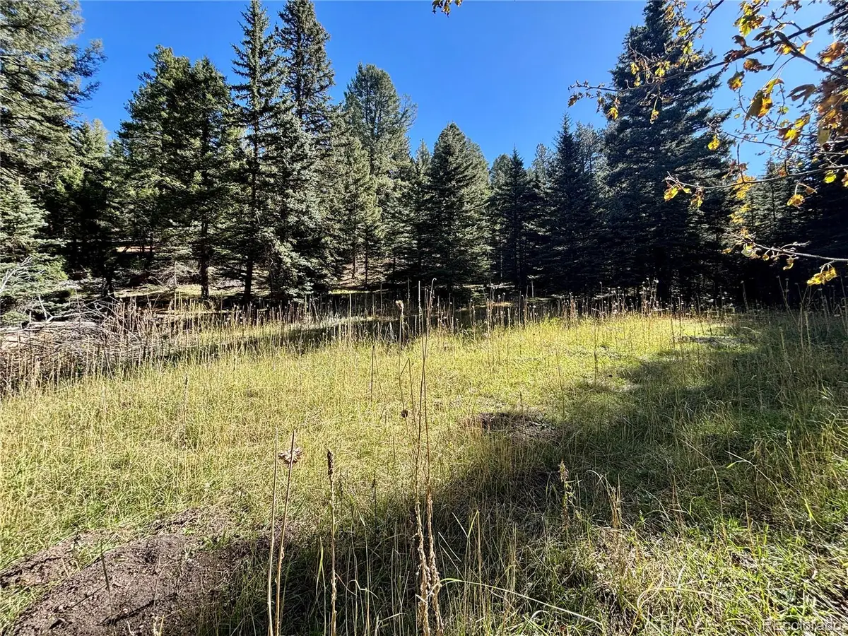 12301 Black Hawk Trail, Conifer, CO 80433 - Image #1