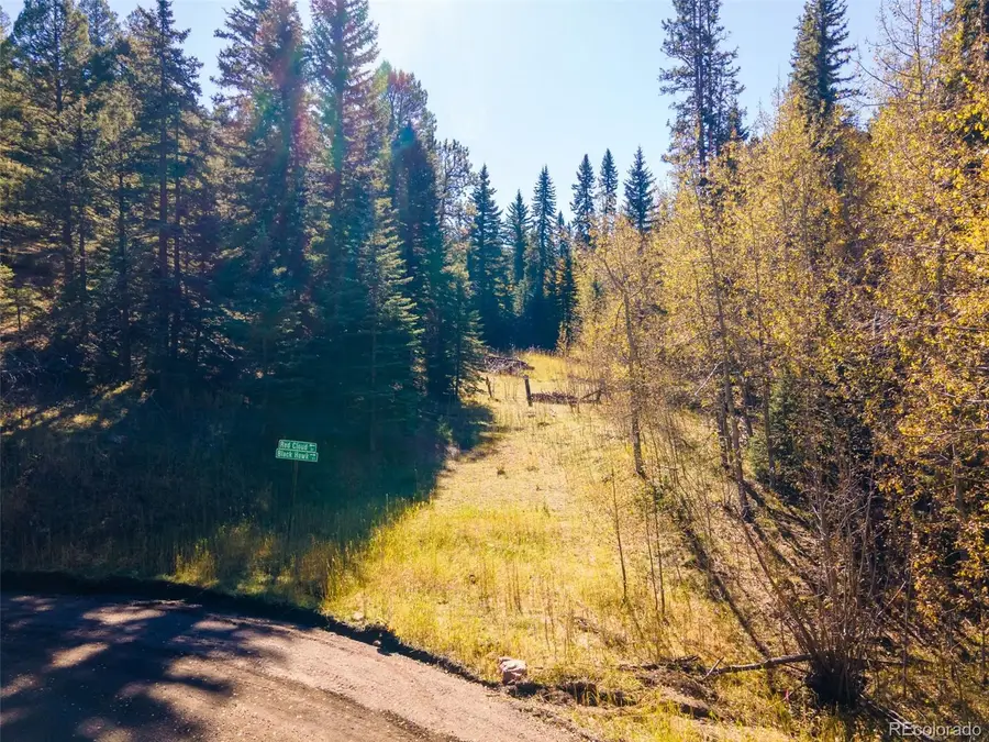 12301 Black Hawk Trail, Conifer, CO 80433 - Image #3