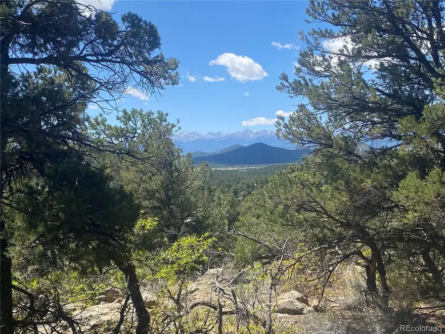 TR-142 17th Trail, Cotopaxi, CO 81223 - #2