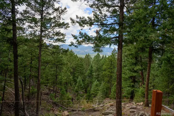 Fern Gulch Lot 14 Road, Evergreen, CO 80439