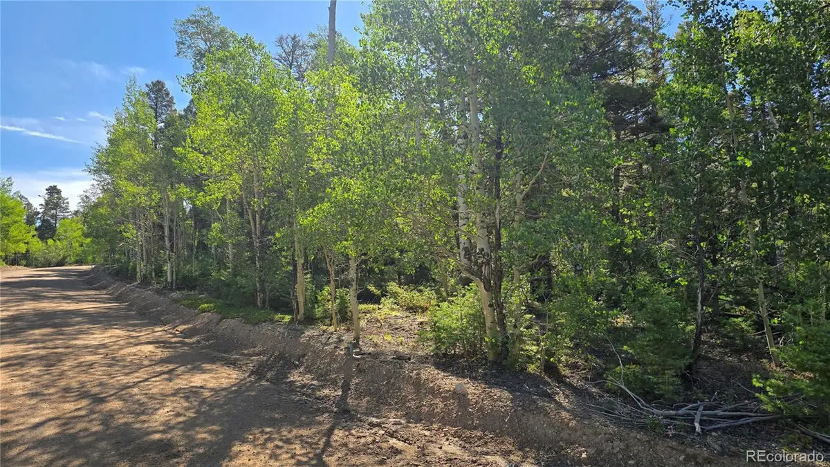 Lot 5816 Balleroy Road, Fort Garland, CO 81133 - #1