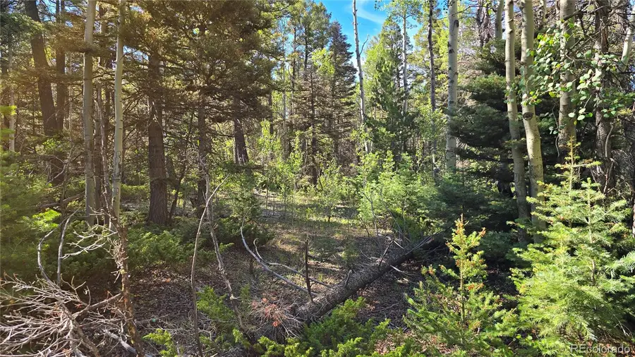 Lot 5816 Balleroy Road, Fort Garland, CO 81133 - #3