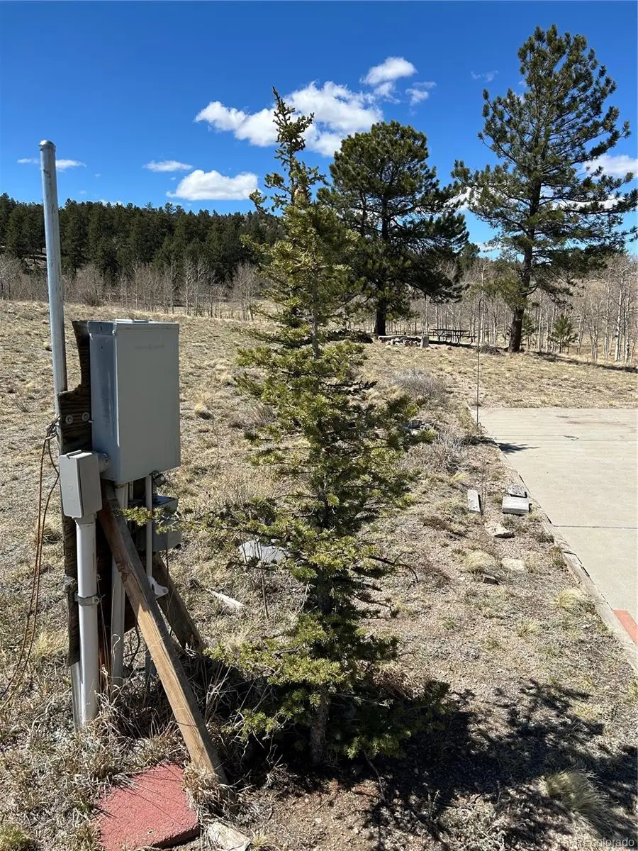 51 Singletree Lane, Hartsel, CO 80449 - #3