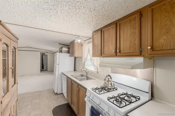 17190 Mt Vernon Road, Golden, CO 80401