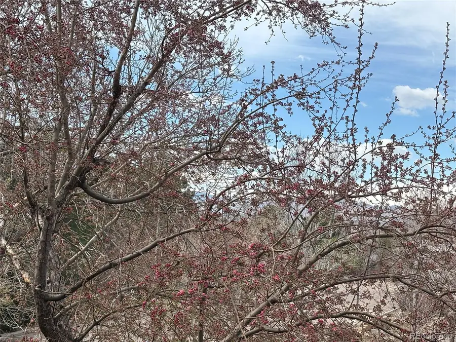 804 S Vance Street #C, Lakewood, CO 80226 - #2