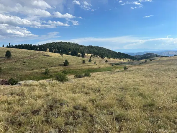 1100 Grumpy Burro View, Cripple Creek, CO 80863