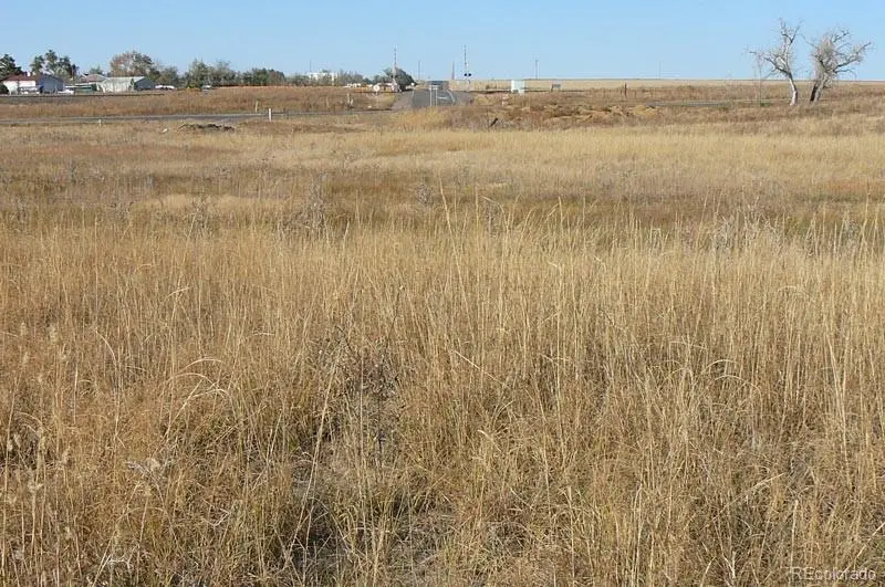 1970 Imboden Road, Watkins, CO 80137 - Image #2