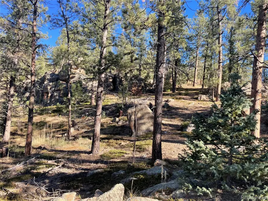 Shadow Mountain Drive, Conifer, CO 80433 - Image #2