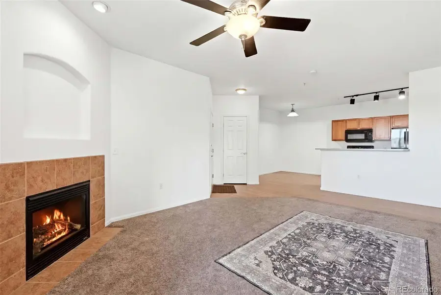 10733 S Twenty Mile Road #203, Parker, CO 80134 - #3