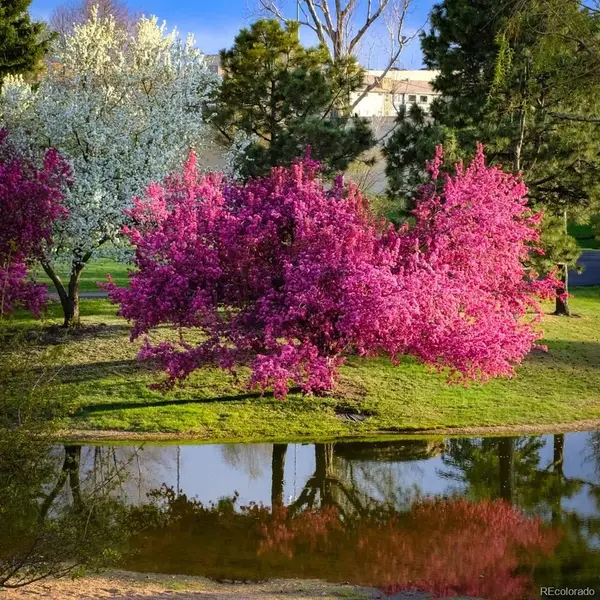 7000 E Quincy Avenue #217, Denver, CO 80237