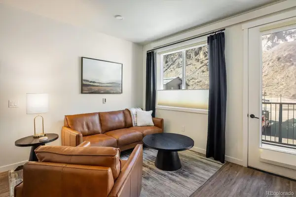 2121 Hummingbird #201, Georgetown, CO 80444
