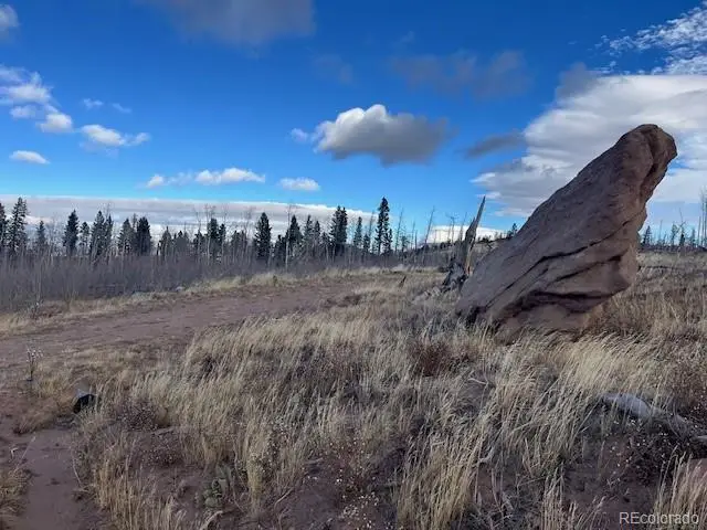 Lot 2544 Petito Drive, Fort Garland, CO 81133 - Image #1