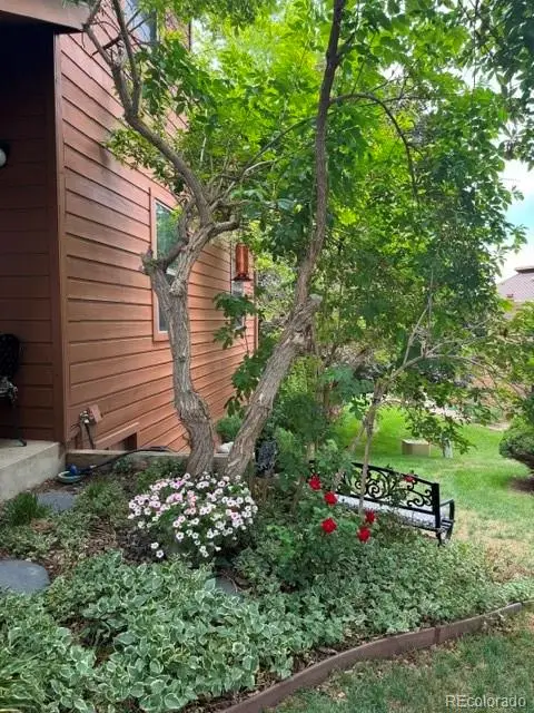 254 Zang Street, Lakewood, CO 80228 - #2