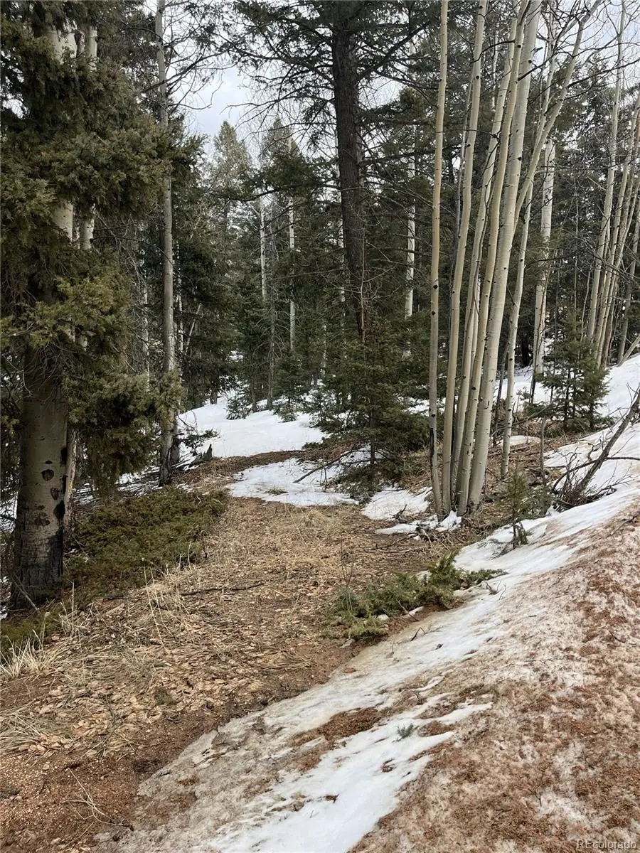 2763 N Mountain Estates Road, Florissant, CO 80816 - Image #2