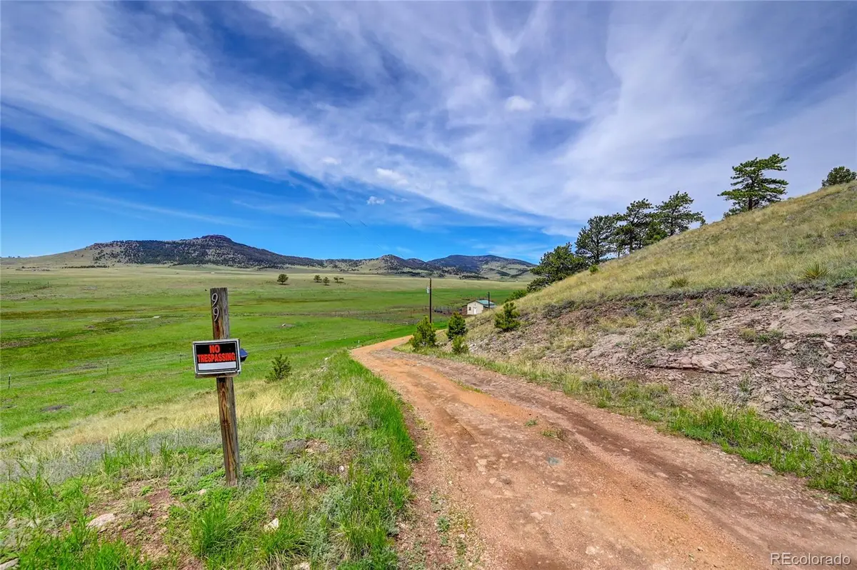 99 Peak Drive, Guffey, CO 80820 - #1