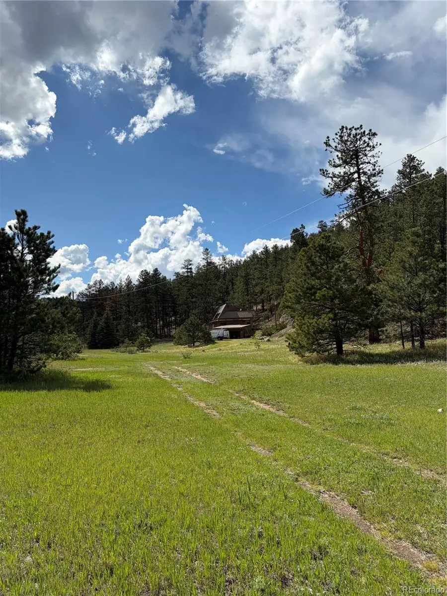 3820 County Road 68, Bailey, CO 80421 - #3
