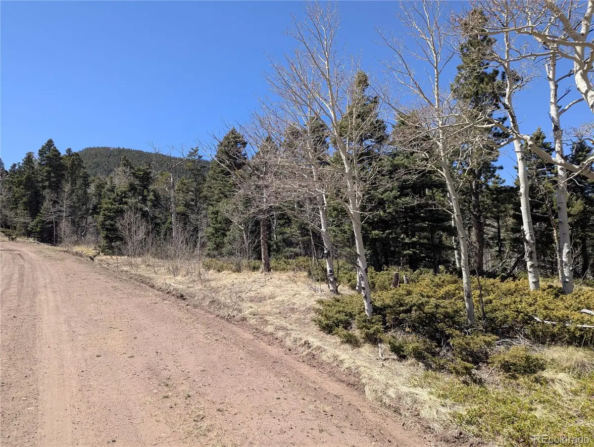 2938 Kemper Loop, Fort Garland, CO 81133 - #1