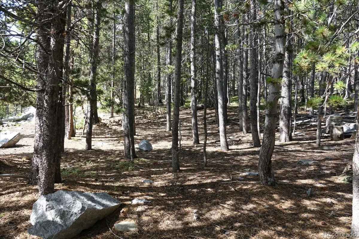 00 Upper Forest Rd, Idaho Springs, CO 80452 - #1