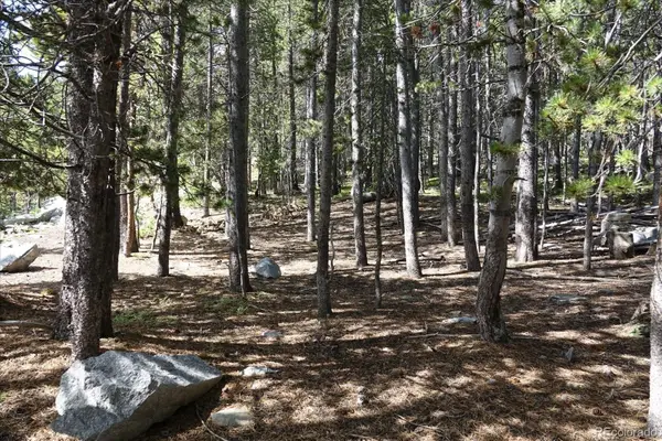 00 Upper Forest Rd, Idaho Springs, CO 80452