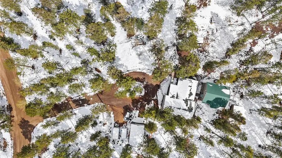 82 Iris Drive, Bailey, CO 80421 - #3