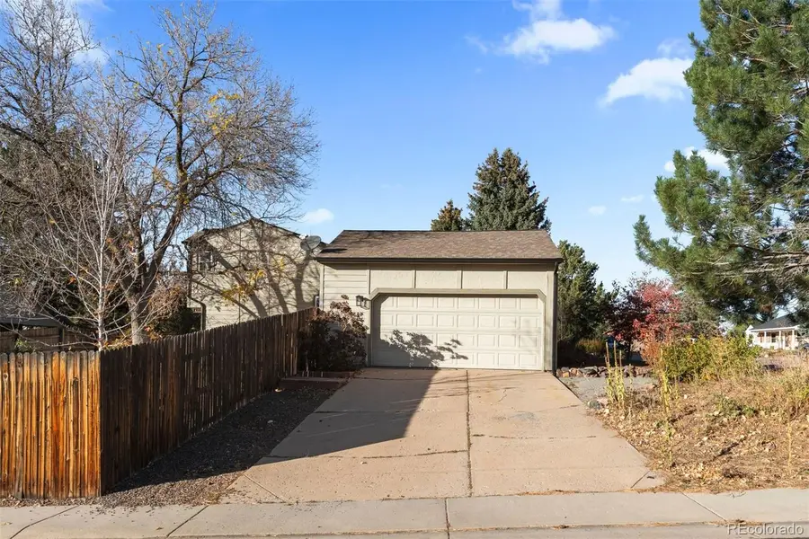 993 Pleasant View Street, Castle Rock, CO 80104 - Image #3