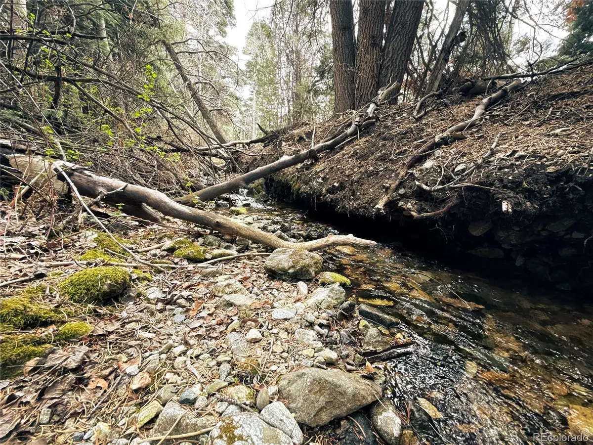 189 Cedar Ridge Road, Mosca, CO 81146 - #1