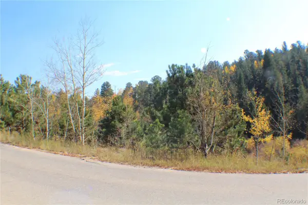 2012 Shelton Drive, Bailey, CO 80421