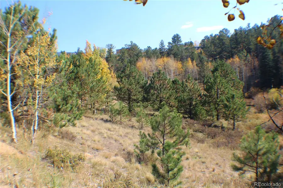 2012 Shelton Drive, Bailey, CO 80421 - #2