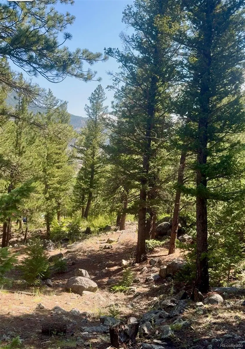 0 Alvarado Road, Georgetown, CO 80444 - Image #1