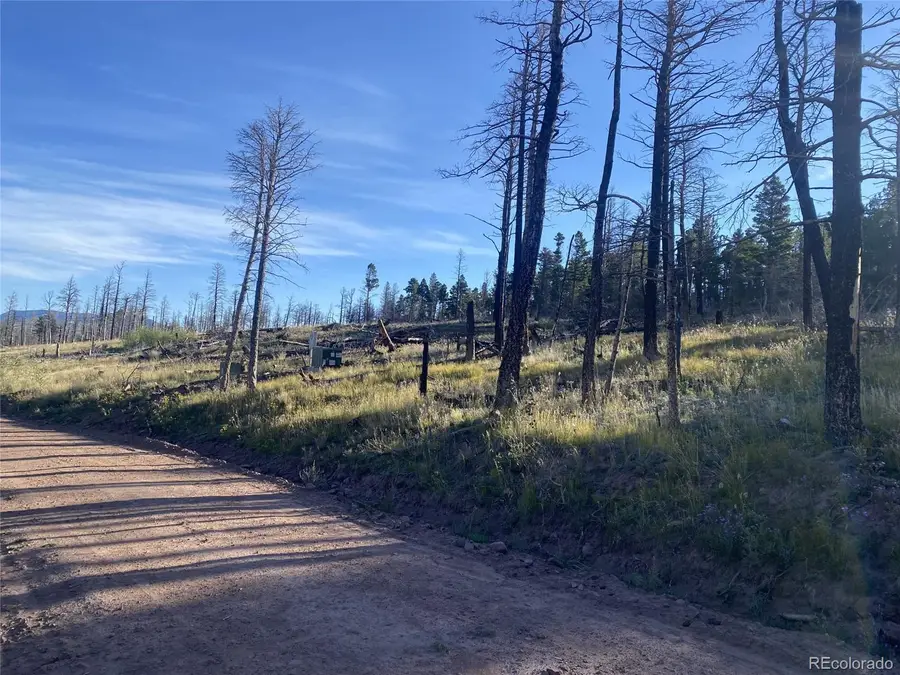 2283 Wohlstetter Loop, Fort Garland, CO 81133 - Image #3