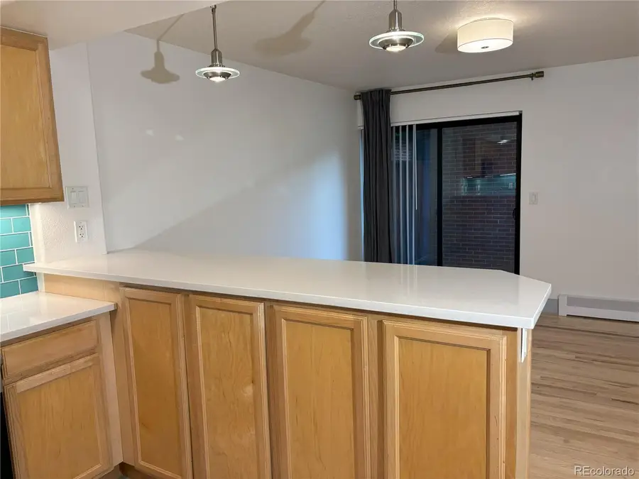 1833 N Williams Street #307, Denver, CO 80218 - Image #3