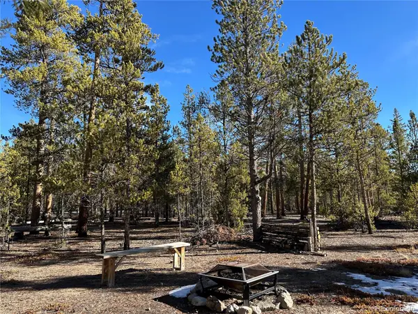 361 Fir Drive, Twin Lakes, CO 81251