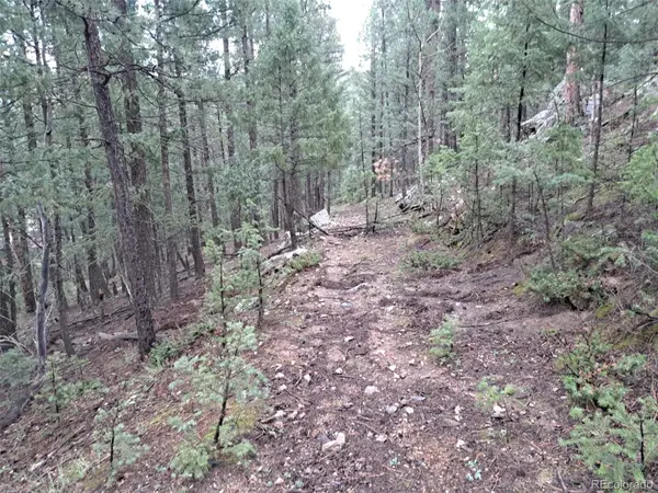 360 Hi Meadow Drive, Bailey, CO 80421