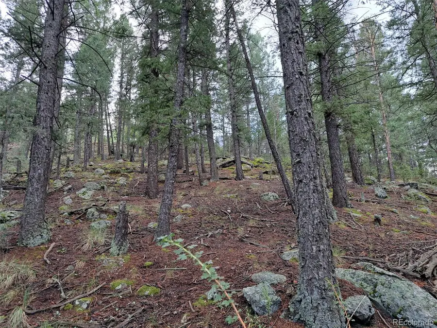 360 Hi Meadow, Bailey, CO 80421 - #2